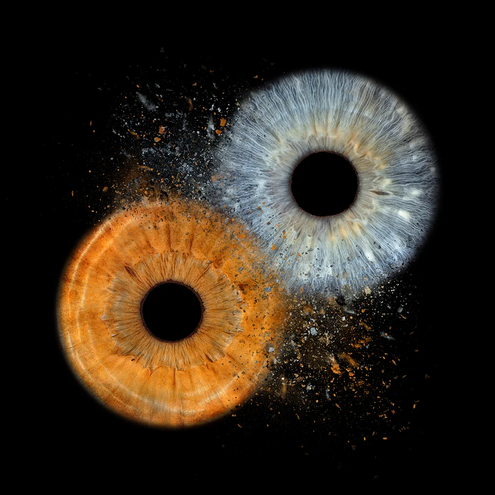 Iris Clash – two irises merged into a wall-art piece