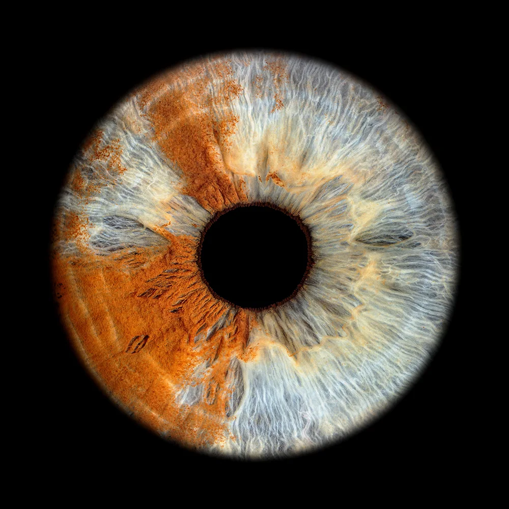 Brown iris macro photograph – unique iris photography in Switzerland